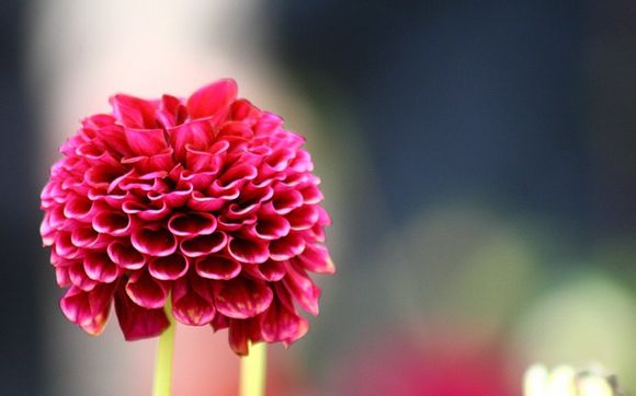 华为p6如何截屏