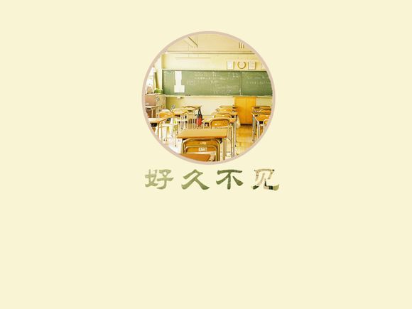 北京哪里有糖猫卖
