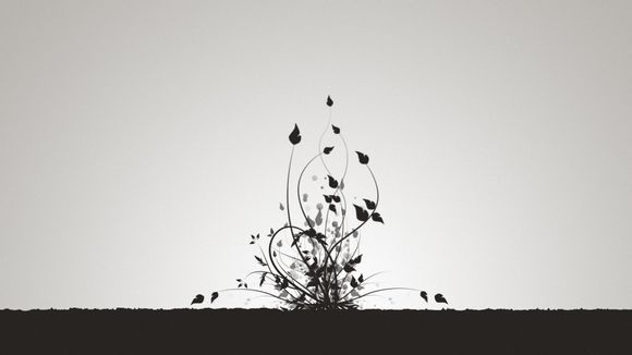 二更为什么关停